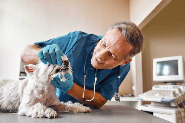Best Emergency Tooth Extraction in Ocilla, GA